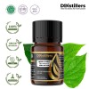 10ML GS 